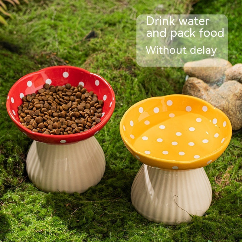 Elevated Cat Bowl – Anti-Tip Ceramic Cat Feeding Dish