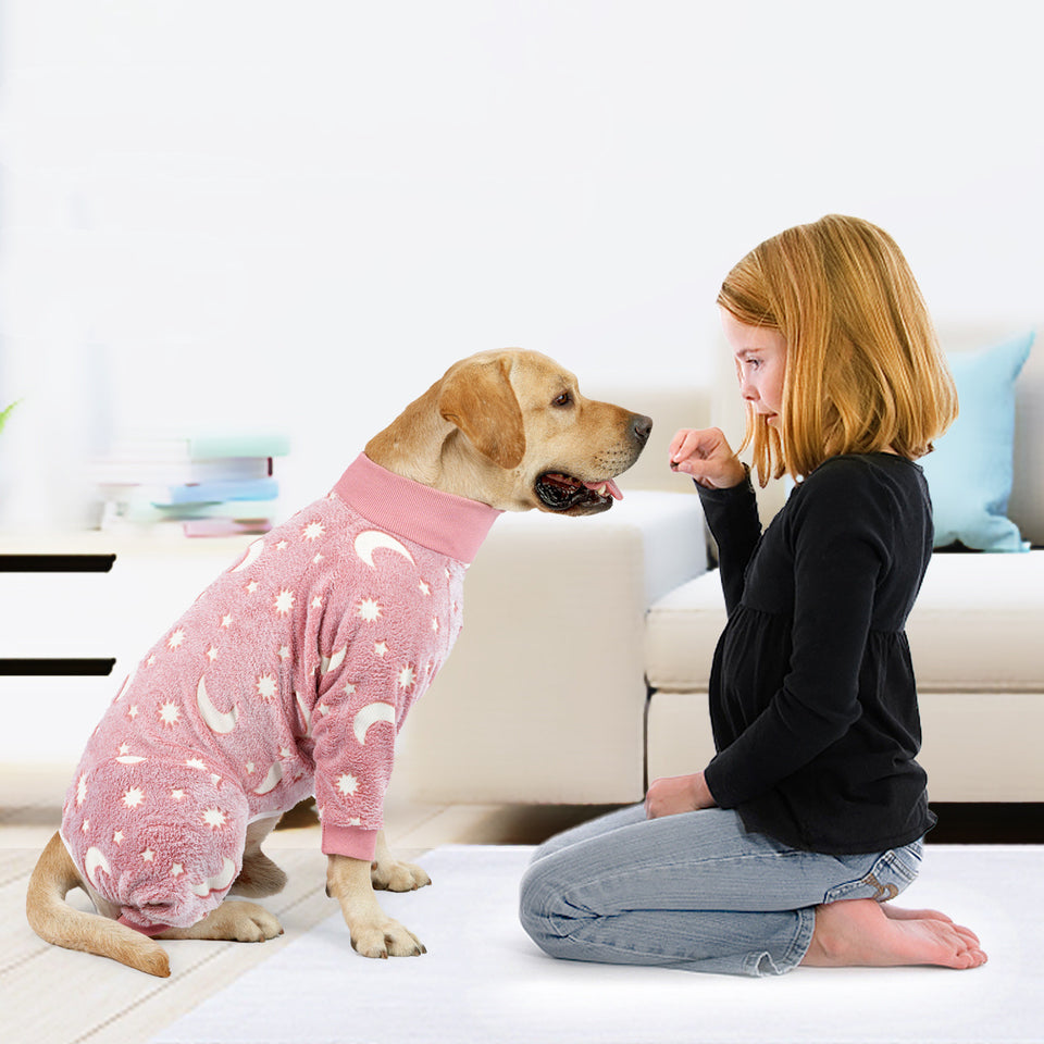Winter Dog Pajamas