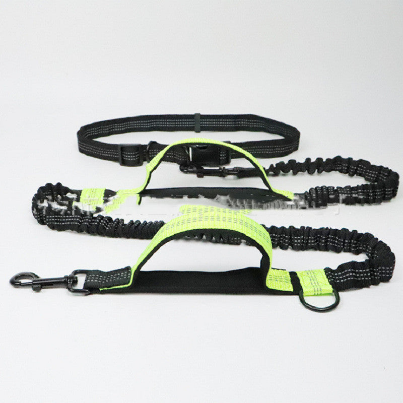 Retractable Dog Leash