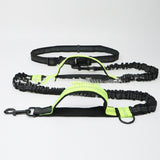Retractable Dog Leash