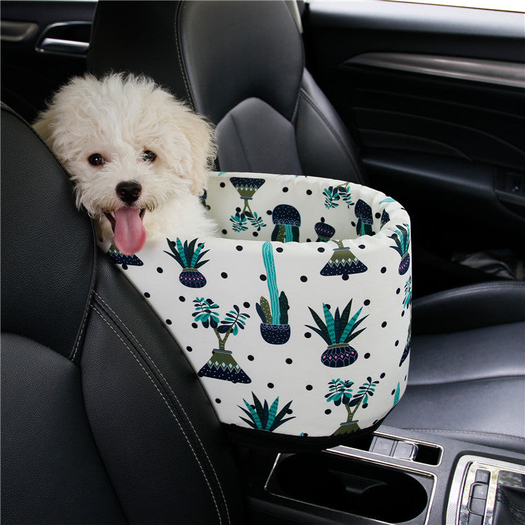 car pet nest