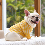 Pet Sweater for Dogs & Cats