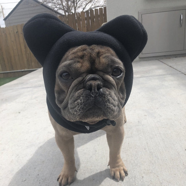 Dog Fleece Hat