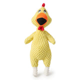 Squeaky Dog Toy