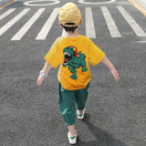 Boys Summer Outfit Set – Cotton Cartoon Short Sleeve Kids Two-Piece Clothing