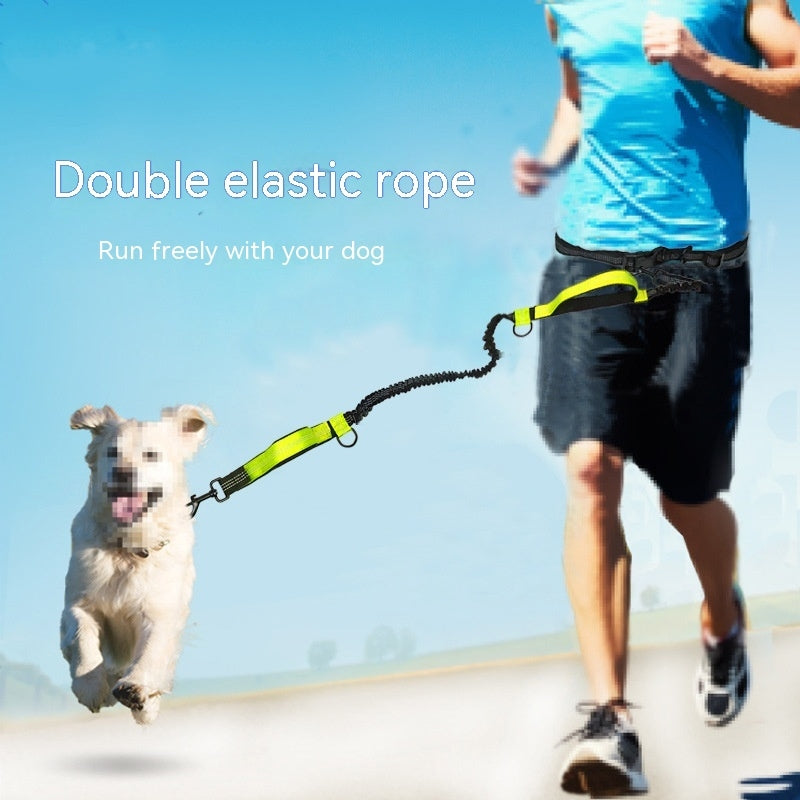 Retractable Dog Leash