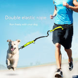 Retractable Dog Leash