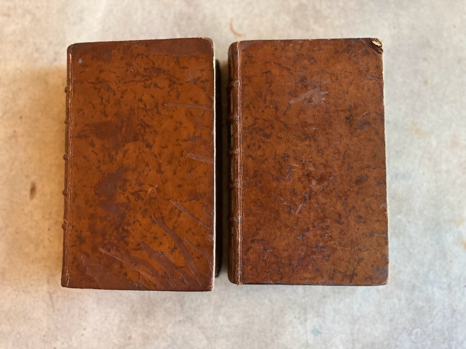 RESERVED | Dictionaire des Femmes Celebres 1788 Two Volumes