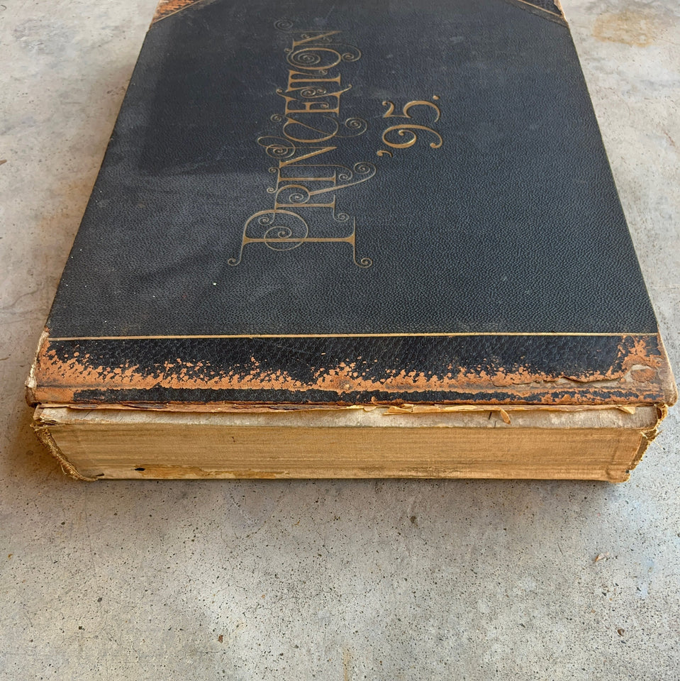 1895 Princeton University Yearbook