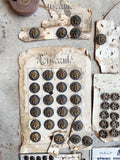 Large Lot of Antique Buttons + Notions 500+ Pcs