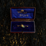 c. 1890s-1900s 14k Gold Turquoise Pearl Beetle Pin