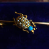 c. 1890s-1900s 14k Gold Turquoise Pearl Beetle Pin