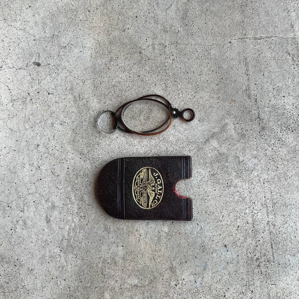 c. 1880s-1890s Tortoise Shell Pince Nez in Case