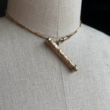c. Turn of the Century Button Hook + Chain