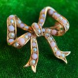 Edwardian 14k Gold Coral + Pearl Bow Brooch