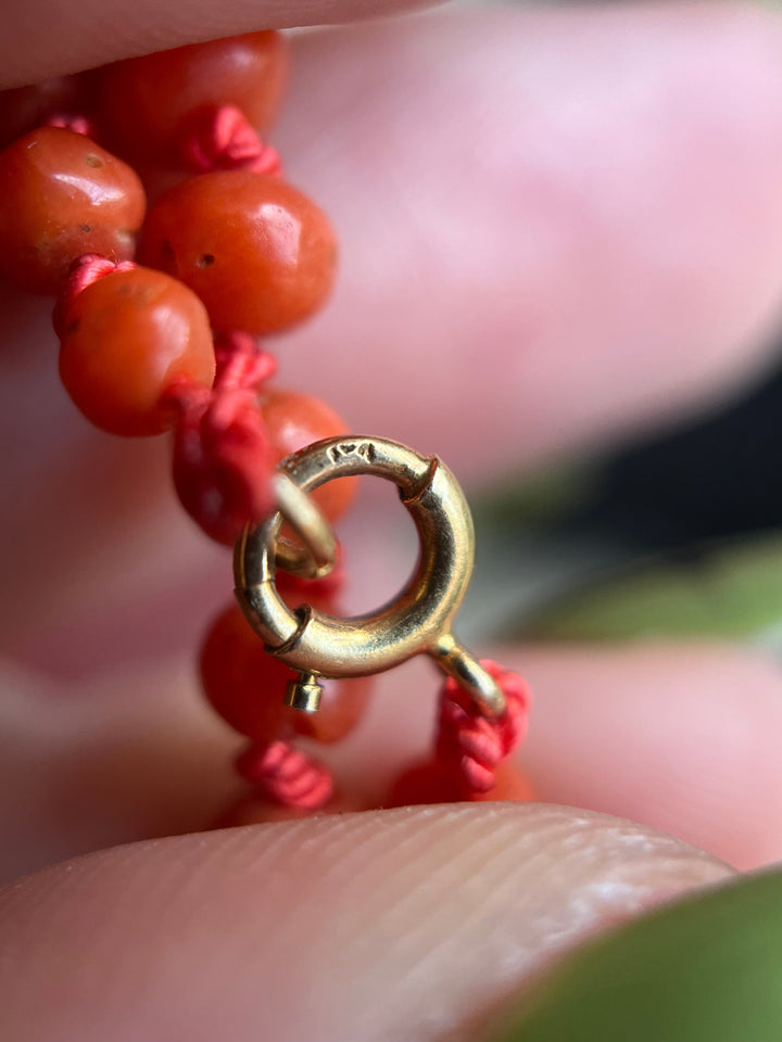 Early 20th c. Coral Bead Necklace