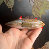Turn of the Century Shell Purse