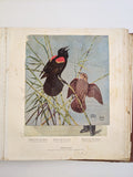 1930s Catalog Scrapbook 1936-37 International Tailoring Co