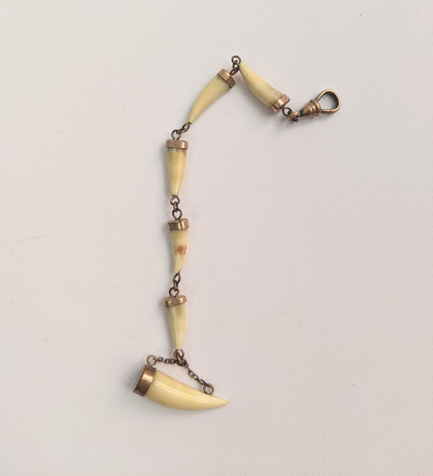 Victorian Bone Tooth Watch Fob Chain with Dog Clip