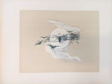 The Night Cometh | 1889 Illustrated Book