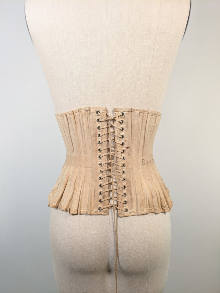 R&G Corset | Study + Display