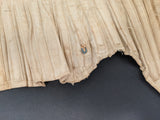 R&G Corset | Study + Display