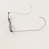 19th C Sunglasses