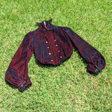 1902-1903 Velveteen Bodice