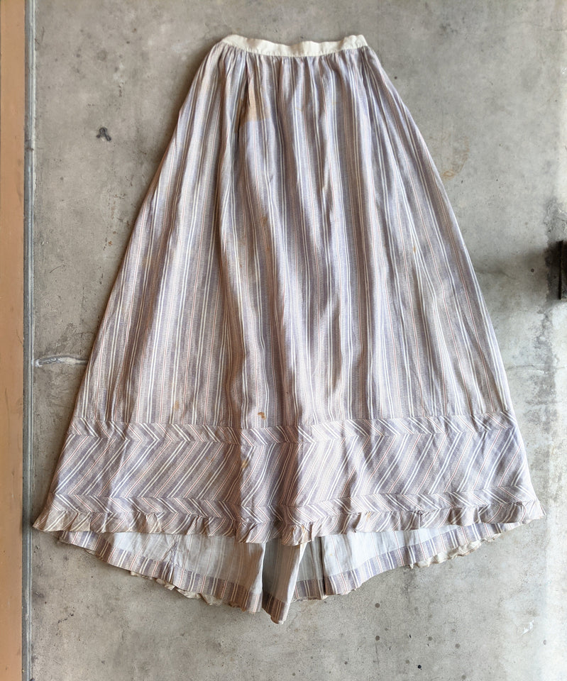 1880s Cotton Dress + Skirt