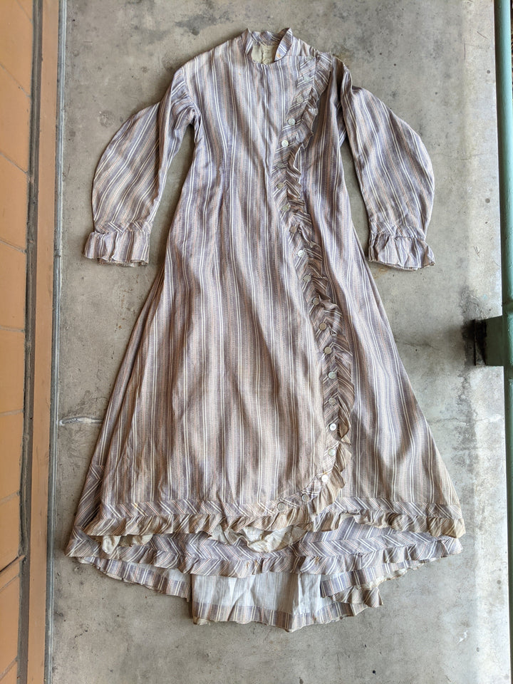 1880s Cotton Dress + Skirt