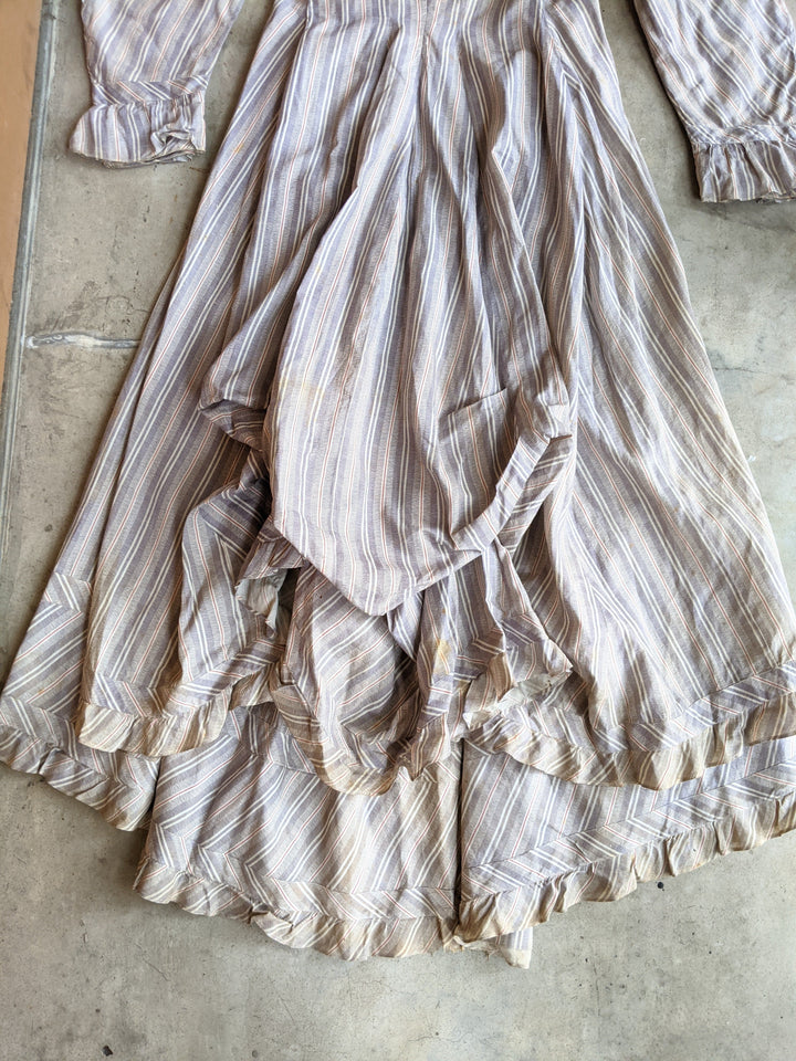 1880s Cotton Dress + Skirt