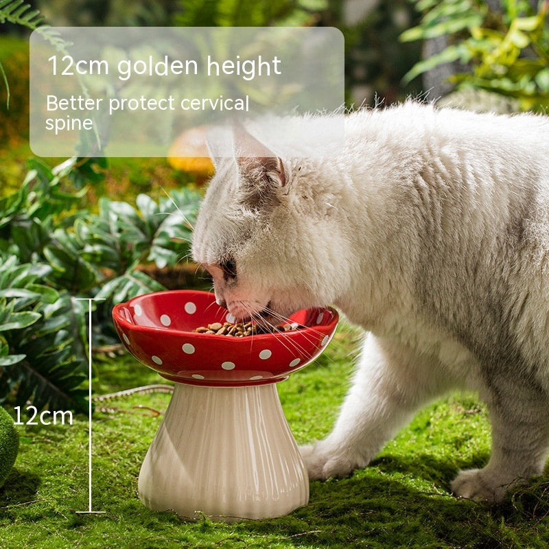 Elevated Cat Bowl – Anti-Tip Ceramic Cat Feeding Dish