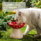 Elevated Cat Bowl – Anti-Tip Ceramic Cat Feeding Dish