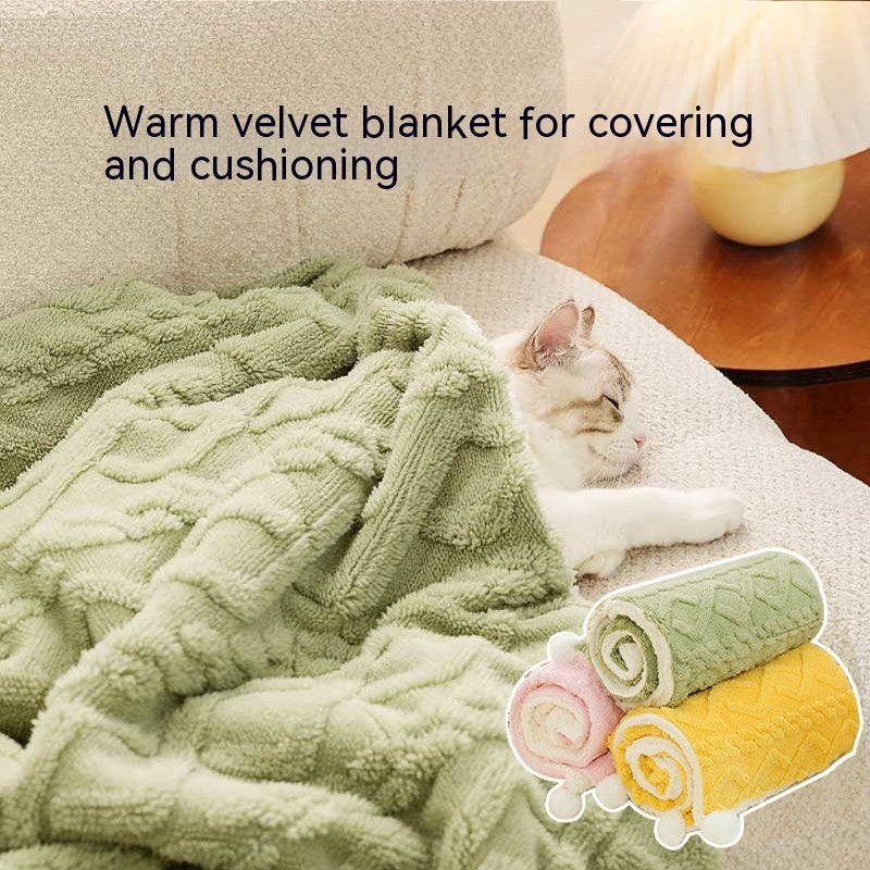 Pet Blanket