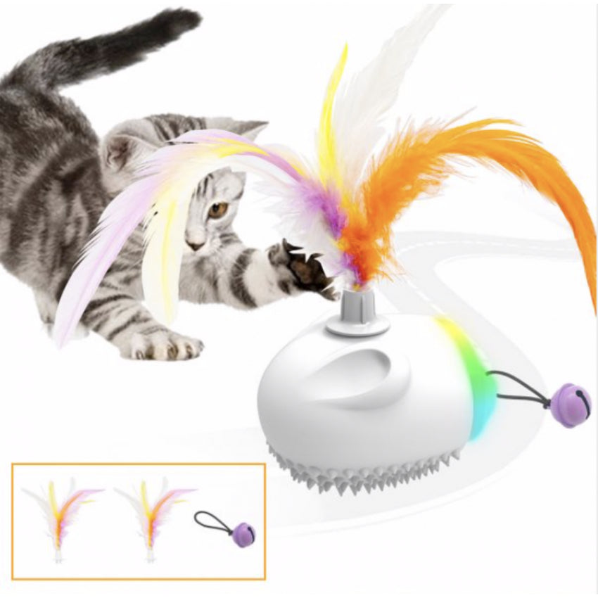 Interactive Cat Toy