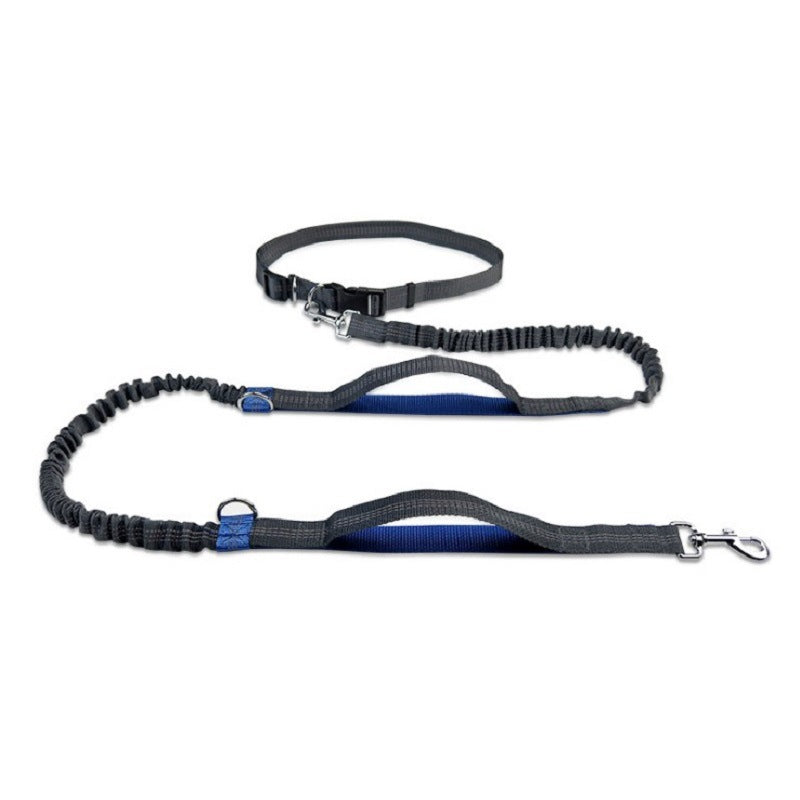 Retractable Dog Leash