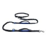 Retractable Dog Leash