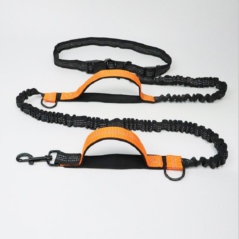 Retractable Dog Leash