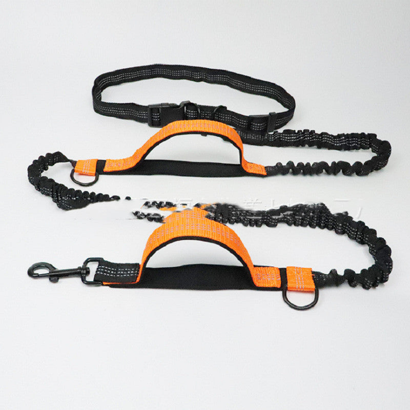 Retractable Dog Leash